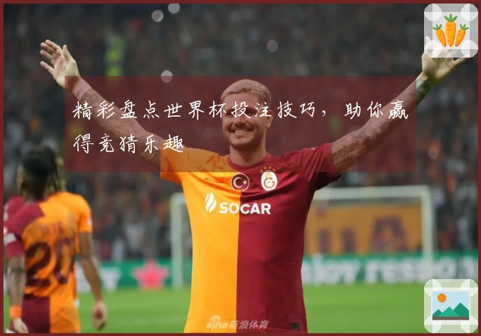 精彩盘点世界杯投注技巧，助你赢得竞猜乐趣