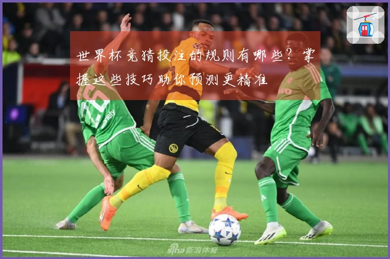 世界杯竞猜投注的规则有哪些?掌握这些技巧助你预测更精准