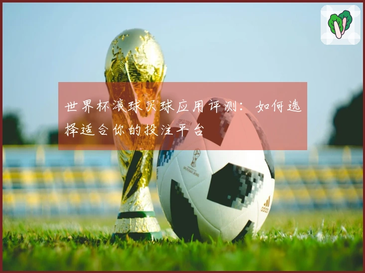 世界杯滚球买球应用评测：如何选择适合你的投注平台