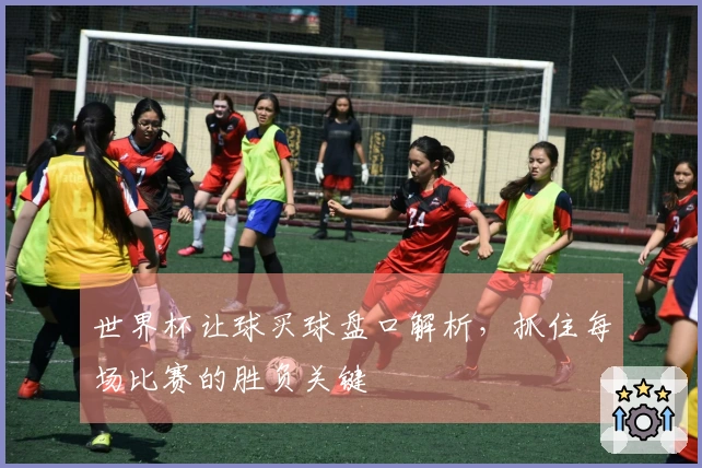 世界杯让球买球盘口解析，抓住每场比赛的胜负关键