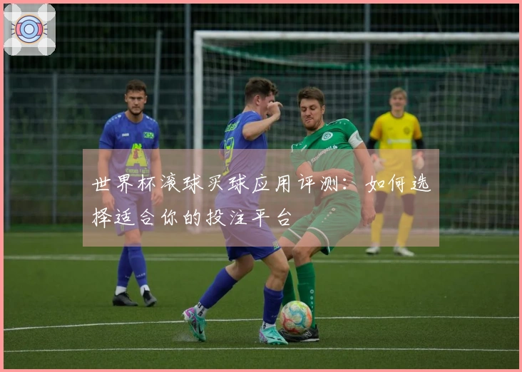 世界杯滚球买球应用评测：如何选择适合你的投注平台